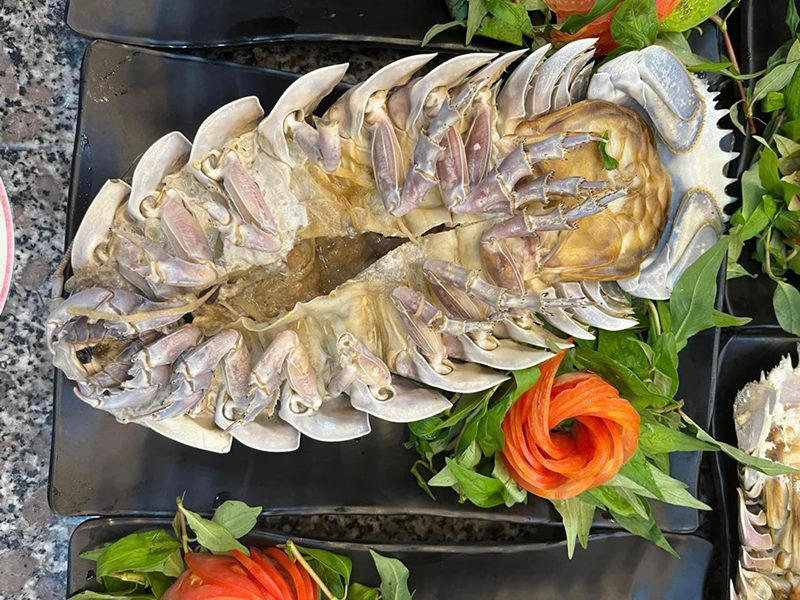 Bọ biển được chế biến thành nhiều món ăn khác nhau